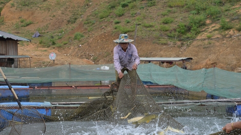Ngon tô 2 tứn chạu thứ 2 mự 15 bườn 12 pì 2025- Côn dần Chiêng Lào mi luông dệt dượn mắư té vịa liệng pà công