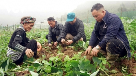 Ngon tô thứ 3 mự 23 căm bườn 12 pì 2025: Púk mák phứak, po hay me na phổng xùng Lao Cài mi tứm thù nhập