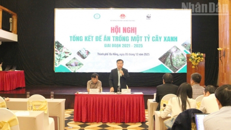 DANAK DAK PALA  HU LABAIH 1 TI PHUN KAYAU HIJAO 