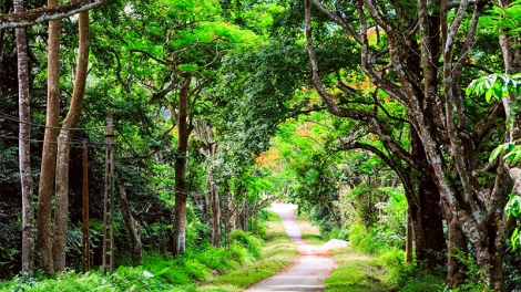 Gâk ngăn kong cho rak vế tơdroăng rêh ối la ngiâ