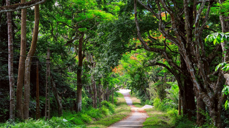 Jơnau lồi poh: "Sền gàr brê là sền gàr rài tơnơ̆ do"
