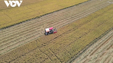 PAGLAONG BAOH JENG SIAM MEKRE MBLANG HAMU PADAI “JAK KRAH”