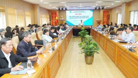 BHXH TP Đà Nẵng thành phố Đà Nẵng tập huấn nghiệp vụ giám định chi phí khám, chữa bệnh BHYT