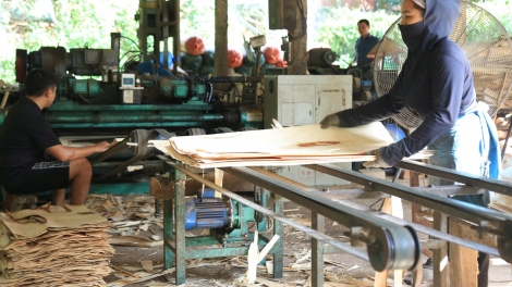 Tsaz yênhx nta suôz luk Hmôngz hnuz 04-12-2025