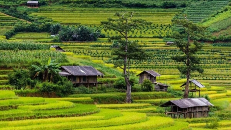 Ngon tô thứ 4 mự 10 căm bườn 12 pì 2025- Khày quảng luông dệt dượn – piến thái nả tà  phổng bản na Sờn Là