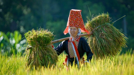 CHƯƠNG TRÌNH KHAY HENG TÀY - NÙNG  (Thứ Hai, Vằn xo ết bươn 12 pi 2025)