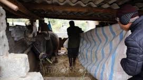  Ngon tô thứ 2 mự 05 bườn 01 pì 2026- Tiện tô cắp lung Lò Văn Thật, dú bản Có Nàng, xã Mường Chiên, tỉnh Sơn La ma tang chự phong nào cưm, dák nhả hẳư ngua quai cuồng mua nào cưm hại hức.