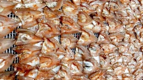 Ngon tô thứ 6 mự 12 căm bườn 12 pì 2025- Quỳnh Nhai mả khày vịa tảnh liệng pả củng cựt ma thù nhập tẹt tiêng hẳư côn dần