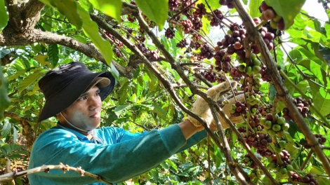 Pêt kơphế rơkê plĕng tơtro vâ ƀă kong prâi pơhlêh tô