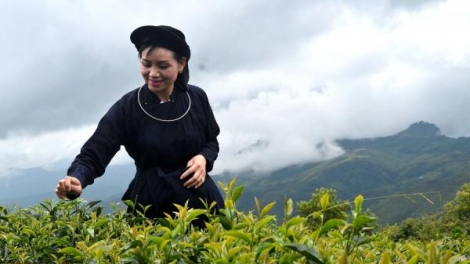 CHƯƠNG TRÌNH KHAY HENG TÀY - NÙNG (Thứ Sáu, vằn 26 bươn 12 pi 2025)