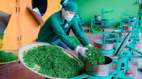 MÌ THEM NGẦN CHÈN TỨ VIỂC PÂY SLON NGHỂ