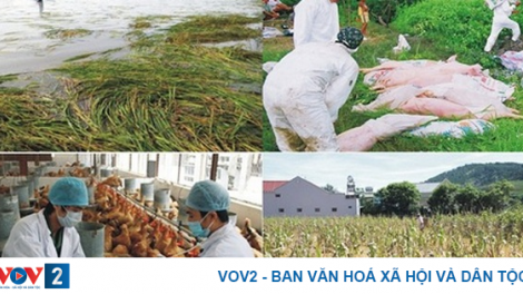 BẠI FẤN PANG CHỎI PỈ NOỌNG ĐĂM CHAY, CHƯỢNG CHẢO TÒ TẺO LĂNG PỬA MẺN NẶM THÚM