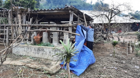 Tsưr ziv uô kôngz thiêz siv nênhx hnuz 30-12-2025