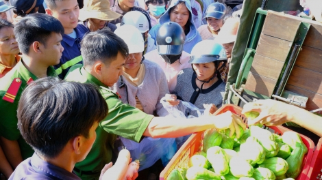 Công an Lâm Đồng njuăl bơi 34 tấn biăp tât nuĭh ƀon lan nkual dak bŭk Khánh Hoà