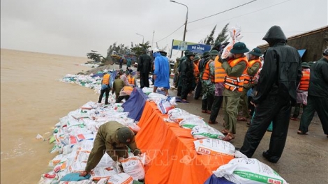 ĐÀ NẴNG RA PẶ LÂH 76,5 TỶ ĐỒNG ZOOI APÊÊ VEL ĐONG PA LIÊM RAU BOO ĐHÍ ĐƠC LƠI