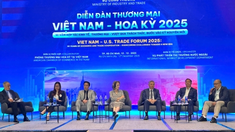 Sĭ mơdrô nao rai plah wah Việt Nam hăng Mi đĭ 300 wơ̆t