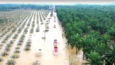 ពត៌មាន ម៉ោង ១៥