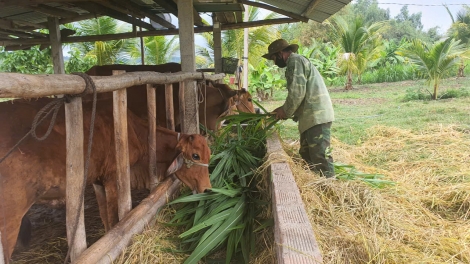 Mduôn Ksor Bơng, "pô ƀuôn sang knang” ti krĭng knông lăn Gia Lai