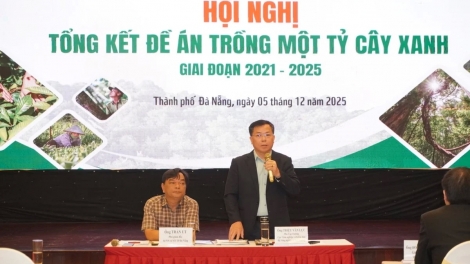 ĐỀ ÁN CHOH 1 TỶ N’LOONG 2021-2025, Z’LÂH 43,9% T’PIING LÂNG  XA NAY K’ĐƯƠI