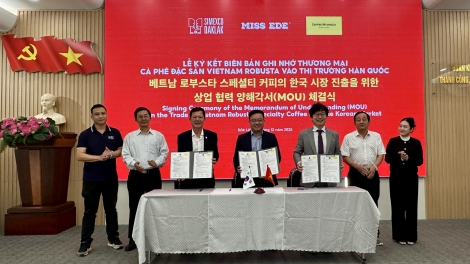 Lơh broă bal sơlơ tơnguh tai bơtàu tơnguh kơphê bơkah pơnrơ mut tàm drà kă bro Hàn Quốc 