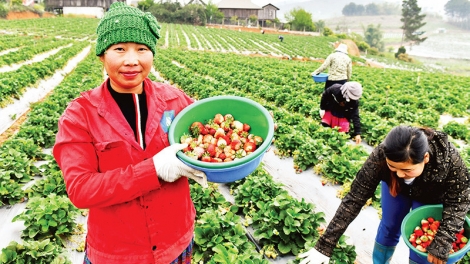 Ngon tô 1 tênh căm thứ 3 mự 16 bườn 12 pì 2025- Sờn Là nho xùng puồng kìn đơi dú hẳư dần mương té vịa mả khày nồng nghịêp tẹt tiêng