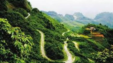 Danak dak sap Cam 19_12_2025