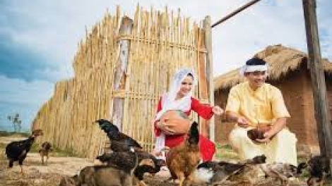 Danak dak sap Cam 02_12_2025