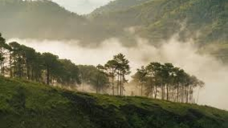 Danak dak sap Cam 15_12_2025