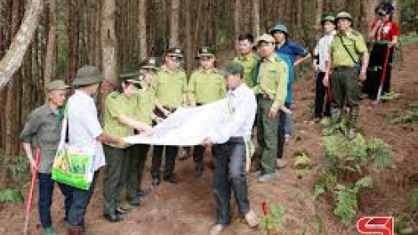 Tsaz yênhx nta suôz luk Hmôngz hmo 02-12-2025