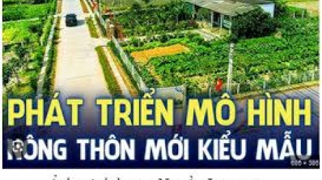 Lầy tzình phát sinh ìu miền vả hoi 12.12.2025