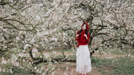 CHƯƠNG TRÌNH KHAY HENG TÀY - NÙNG  (Thứ Năm, vằn 25/12/2025)