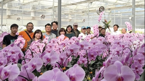 Làng bol Tây Nguyên kơ̆p gơn tàm bơta bơtàu tơngguh dà lơgar dê