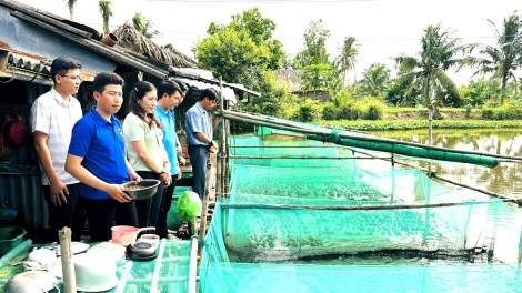 យុវជន Trương Văn Tình ជោគជ័យជាមួយការកសាងទម្រង់សេដ្ឋកិច្ចចំរុះ