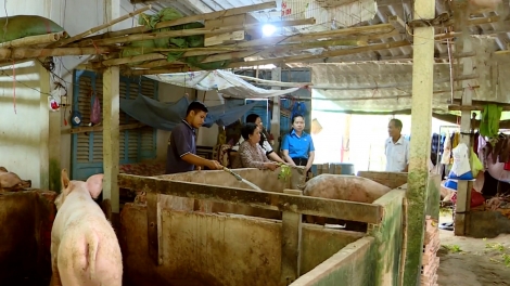 ប្រភពឥណទានគោលនយោបាយជាបង្អែកជួយបងប្អូនខ្មែរវិញឡុងឈោងឈានឡើង 