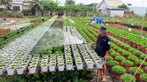 ការផ្លាស់ប្តូរពីទម្រង់តូចៗ