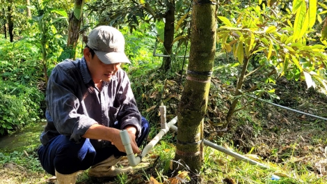 បណ្តាសំណង់ទប់ស្កាត់ទឹកប្រៃ ស្តុកទុកទឹកសាបនៅខេត្ត ដុងថាប ជួយប្រជាជនទប់ទល់ជាមួយគ្រោះធម្មជាតិប្រកបដោយប្រសិទ្ធភាព