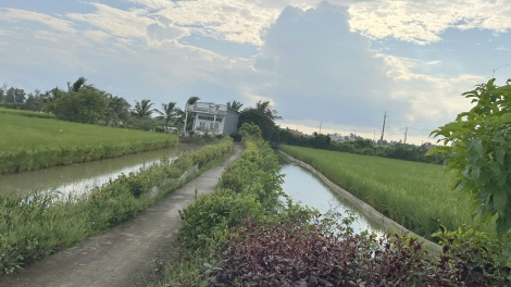 របរចិញ្ចឹមសត្វជាគំនាស់សម្រាប់ជួយប្រជាជននៅឃុំវិញភឿកខេត្តកាម៉ាវកាត់បន្ថយភាពក្រីក្រដោយចីរភាព។