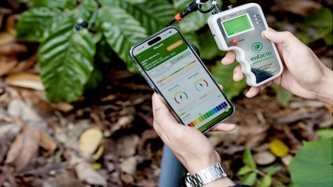 Nău nsrôih rgâl mhe rnoh mbrô tâm nău pah kan ntrŭt nsôr tuch tăm.