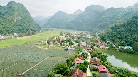 Ngon tô thứ 5 mự 04 căm bườn 12 pì 2025: Luông pùn chương trình luông pùn phén mương ma tang tẳng tánh bản na mắư tỉnh Sờn Là pì 2025