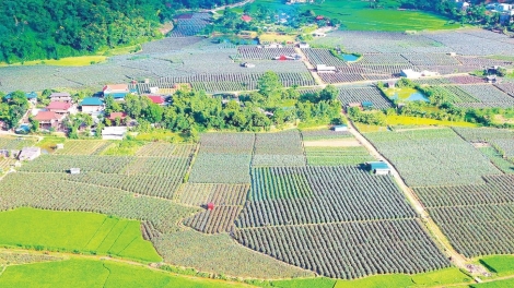 Ngon tô thứ 6 mự 05 căm bườn 12 pì 2025: Chủm mú cốc chính cuồng há phong tẳng tánh bản na mắư nẳng Sơn La