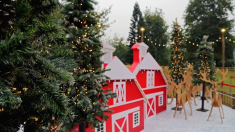 Chúc mùa Giáng sinh