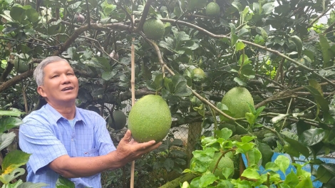 ពត៌មាន​ម៉ោង៦