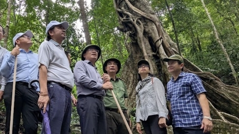 Mơjiâng pro ôm hyô kong kế nhâ loăng Gia Lai tro ƀă mâu kế ki kơnía ki ai xêh lĕm má môi