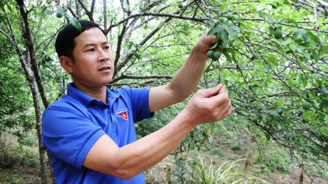 Ngon tô 2 tênh căm thứ 3 mự 16 bườn 12 pì 2025- Khù po hay me na cận hụ số 20