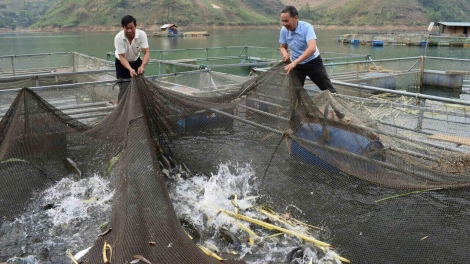 Nôngx mênhx zuôr tsuv pâuz hnuz 23-12-2025