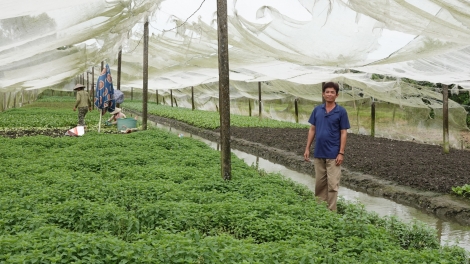 PALA NJAM DALAM SANG NYOL, URANG NGAK NONG BHUM PEI NEGAR HU JIEN MEK TAME LABAIH 20 TRIEU DONG SA BILAN