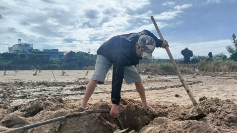 Kơpong pêt hên kơchâi a kong pơlê Lâm Đồng ‘mâi mơnhông klêi kơ’nâi kong mê têa kân lân lu ki ó