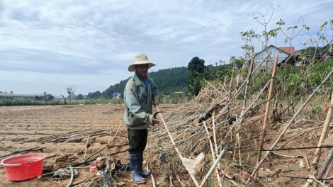 Nkual tơm tăm biăp ta n’gor Lâm Đồng dâk hao lôch geh dak buk.