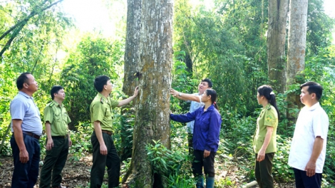 Ngon tô thứ 5 mự 04 căm bườn 12 pì 2025: Ngon tô: Khừn ngơn phảu đù pá”