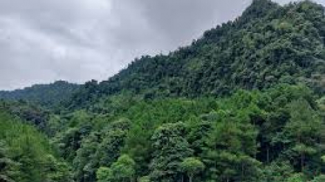 Ngon tô thứ 6 mự 05 căm bườn 12 pì 2025: NGON TÔ QUẢN LÝ CÁNH PẢY CHỰ PÁ